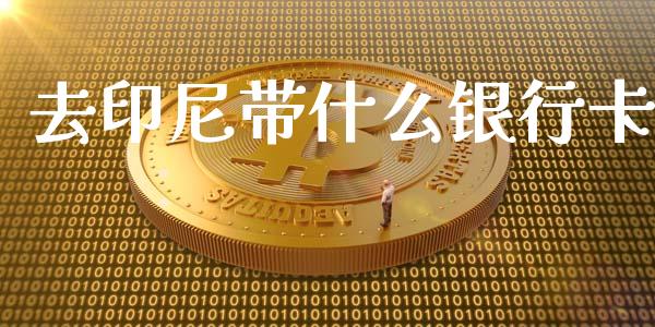 去印尼带什么银行卡_https://wap.lcjysmgs.com_债券基金_第1张