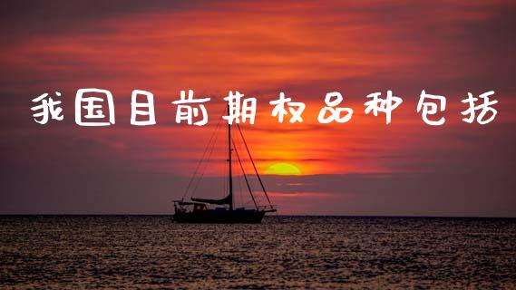 我国目前期权品种包括_https://wap.lcjysmgs.com_债券基金_第1张