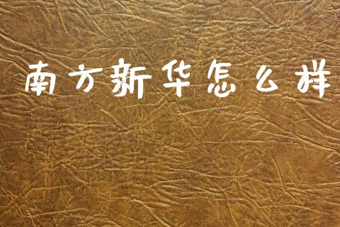南方新华怎么样_https://wap.lcjysmgs.com_债券基金_第1张