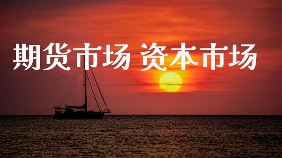 期货市场 资本市场_https://wap.lcjysmgs.com_金融交易_第1张