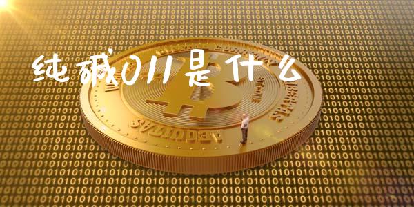 纯碱011是什么_https://wap.lcjysmgs.com_元宇宙_第1张