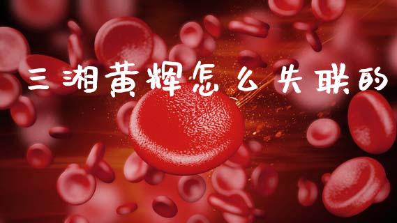 三湘黄辉怎么失联的_https://wap.lcjysmgs.com_债券基金_第1张