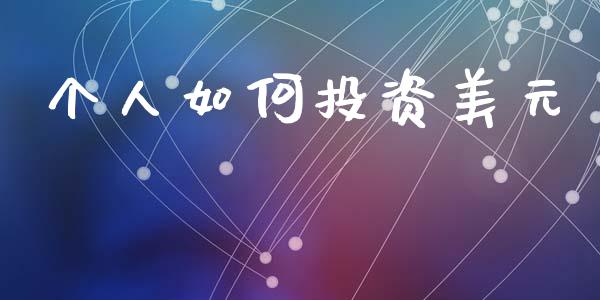 个人如何投资美元_https://wap.lcjysmgs.com_债券基金_第1张