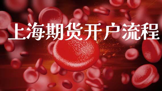 上海期货开户流程_https://wap.lcjysmgs.com_债券基金_第1张