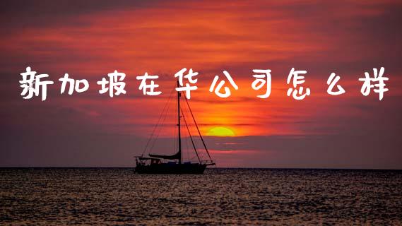 新加坡在华公司怎么样_https://wap.lcjysmgs.com_元宇宙_第1张