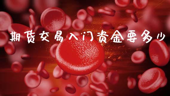 期货交易入门资金要多少_https://wap.lcjysmgs.com_债券基金_第1张