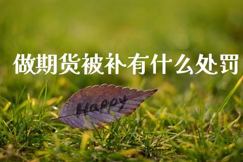 做期货被补有什么处罚_https://wap.lcjysmgs.com_债券基金_第1张