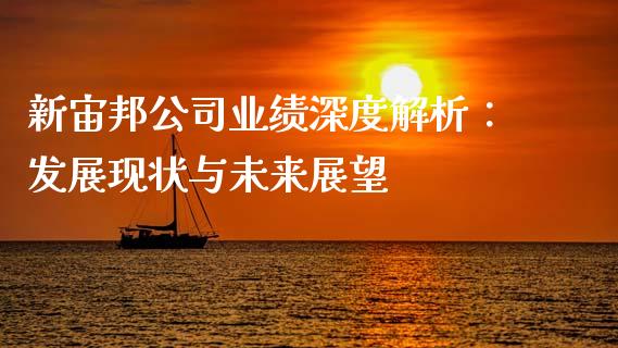 新宙邦公司业绩深度解析：发展现状与未来展望_https://wap.lcjysmgs.com_金融交易_第1张