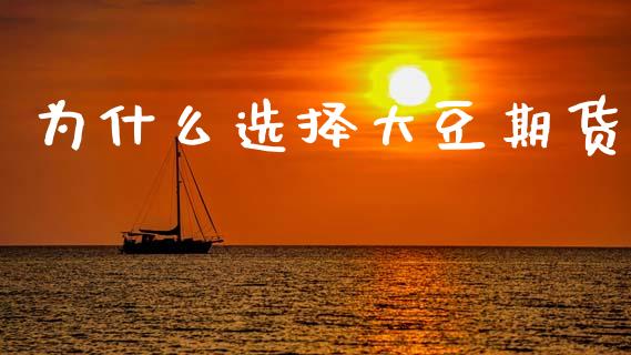 为什么选择大豆期货_https://wap.lcjysmgs.com_元宇宙_第1张
