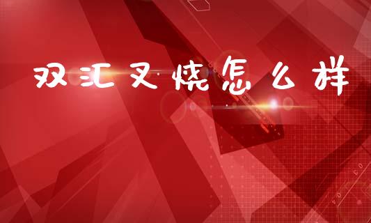 双汇叉烧怎么样_https://wap.lcjysmgs.com_原油期货_第1张