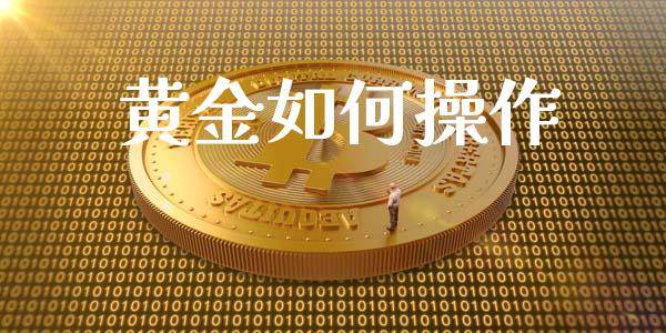 黄金如何操作_https://wap.lcjysmgs.com_原油期货_第1张