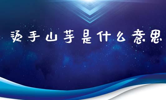 烫手山芋是什么意思_https://wap.lcjysmgs.com_金融交易_第1张