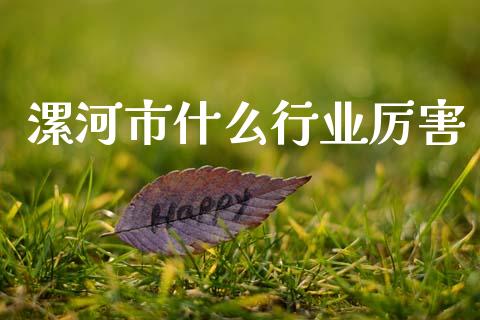 漯河市什么行业厉害_https://wap.lcjysmgs.com_债券基金_第1张