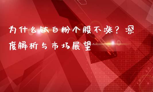 为什么钛白粉个股不涨？深度解析与市场展望_https://wap.lcjysmgs.com_原油期货_第1张