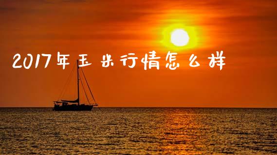 2017年玉米行情怎么样_https://wap.lcjysmgs.com_元宇宙_第1张