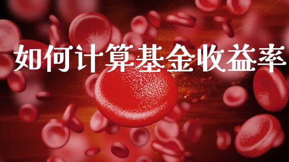 如何计算基金收益率_https://wap.lcjysmgs.com_金融交易_第1张