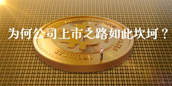 为何公司上市之路如此坎坷？_https://wap.lcjysmgs.com_债券基金_第1张