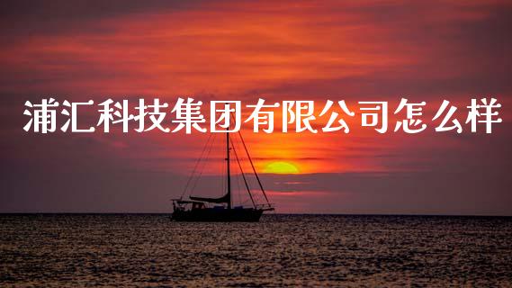 浦汇科技集团有限公司怎么样_https://wap.lcjysmgs.com_原油期货_第1张