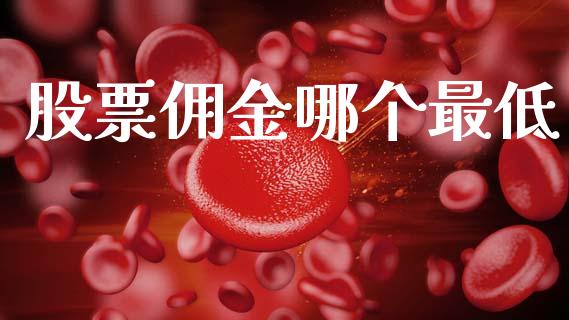 股票佣金哪个最低_https://wap.lcjysmgs.com_金融交易_第1张