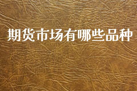 期货市场有哪些品种_https://wap.lcjysmgs.com_债券基金_第1张