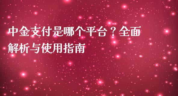中金支付是哪个平台？全面解析与使用指南_https://wap.lcjysmgs.com_金融交易_第1张