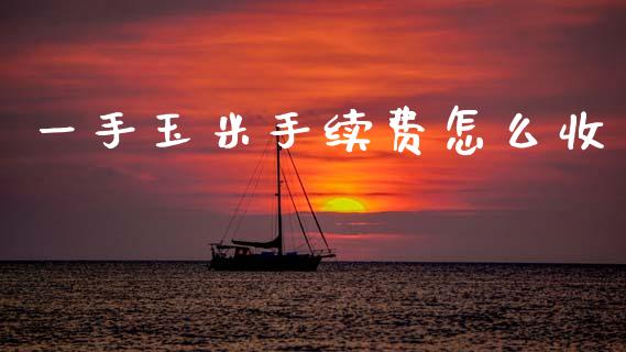 一手玉米手续费怎么收_https://wap.lcjysmgs.com_债券基金_第1张