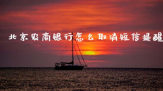 北京农商银行怎么取消短信提醒_https://wap.lcjysmgs.com_元宇宙_第1张