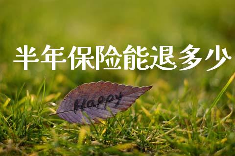 半年保险能退多少_https://wap.lcjysmgs.com_原油期货_第1张