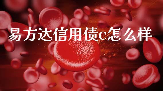 易方达信用债c怎么样_https://wap.lcjysmgs.com_金融交易_第1张