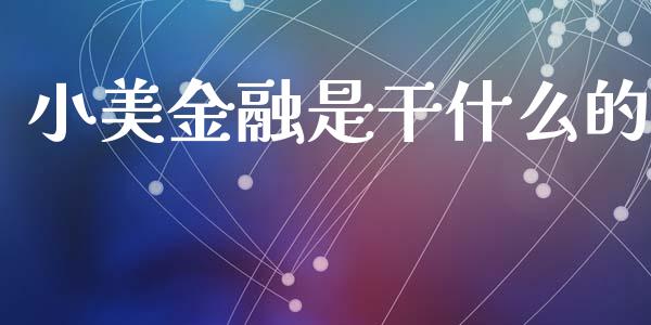 小美金融是干什么的_https://wap.lcjysmgs.com_债券基金_第1张