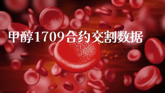 甲醇1709合约交割数据_https://wap.lcjysmgs.com_债券基金_第1张