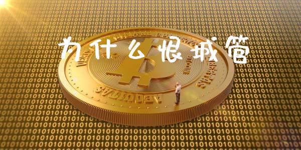 为什么恨城管_https://wap.lcjysmgs.com_原油期货_第1张