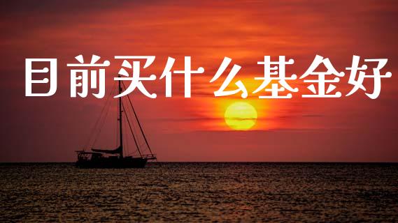 目前买什么基金好_https://wap.lcjysmgs.com_金融交易_第1张