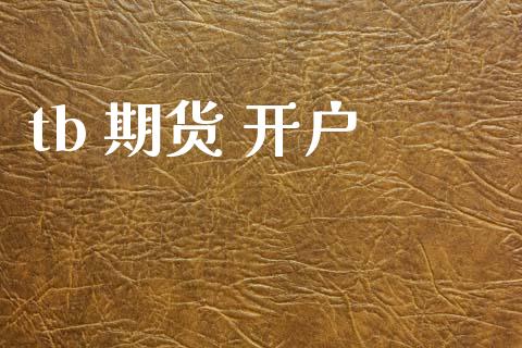 tb 期货 开户_https://wap.lcjysmgs.com_债券基金_第1张