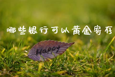 哪些银行可以黄金寄存_https://wap.lcjysmgs.com_金融交易_第1张