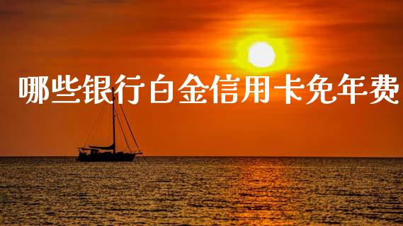 哪些银行白金信用卡免年费_https://wap.lcjysmgs.com_元宇宙_第1张
