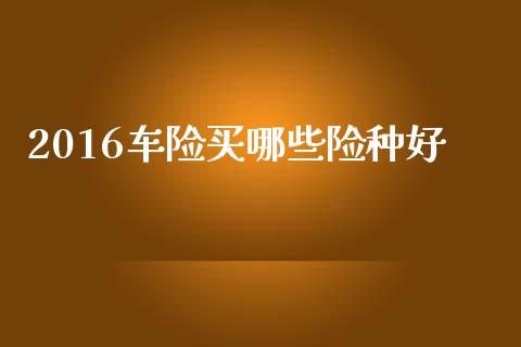 2016车险买哪些险种好_https://wap.lcjysmgs.com_元宇宙_第1张