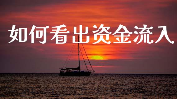 如何看出资金流入_https://wap.lcjysmgs.com_债券基金_第1张