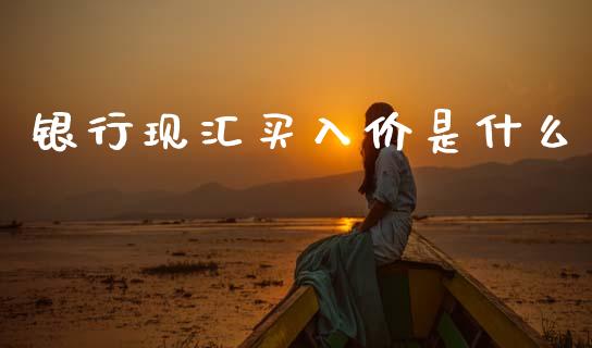银行现汇买入价是什么_https://wap.lcjysmgs.com_债券基金_第1张