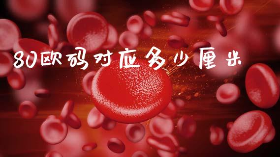 80欧码对应多少厘米_https://wap.lcjysmgs.com_债券基金_第1张