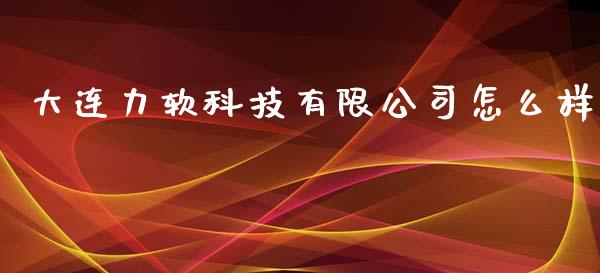 大连力软科技有限公司怎么样_https://wap.lcjysmgs.com_金融交易_第1张