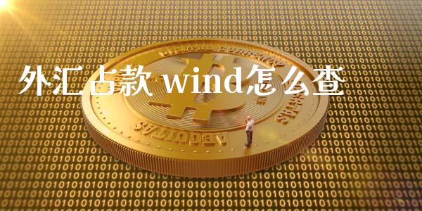 外汇占款 wind怎么查_https://wap.lcjysmgs.com_债券基金_第1张
