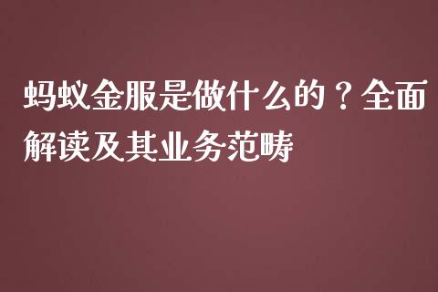 蚂蚁金服是做什么的？全面解读及其业务范畴_https://wap.lcjysmgs.com_原油期货_第1张