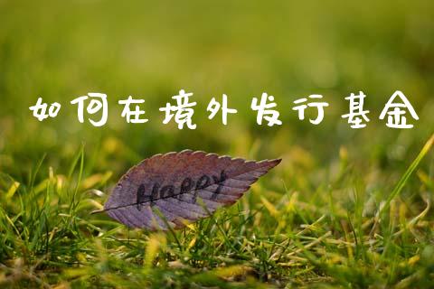 如何在境外发行基金_https://wap.lcjysmgs.com_元宇宙_第1张