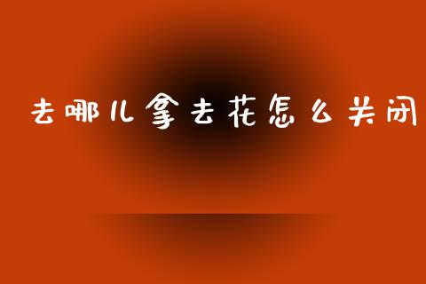 去哪儿拿去花怎么关闭_https://wap.lcjysmgs.com_原油期货_第1张