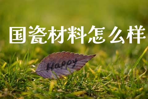 国瓷材料怎么样_https://wap.lcjysmgs.com_金融交易_第1张