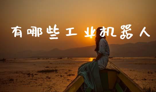 有哪些工业机器人_https://wap.lcjysmgs.com_原油期货_第1张