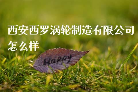 西安西罗涡轮制造有限公司怎么样_https://wap.lcjysmgs.com_原油期货_第1张
