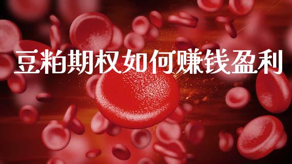豆粕期权如何赚钱盈利_https://wap.lcjysmgs.com_金融交易_第1张
