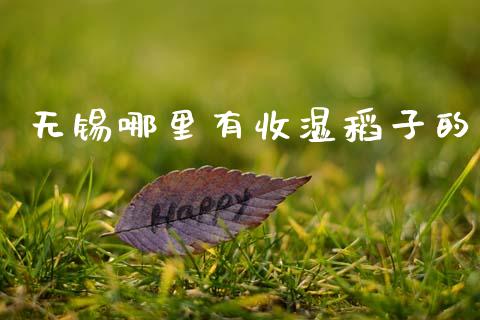 无锡哪里有收湿稻子的_https://wap.lcjysmgs.com_金融交易_第1张